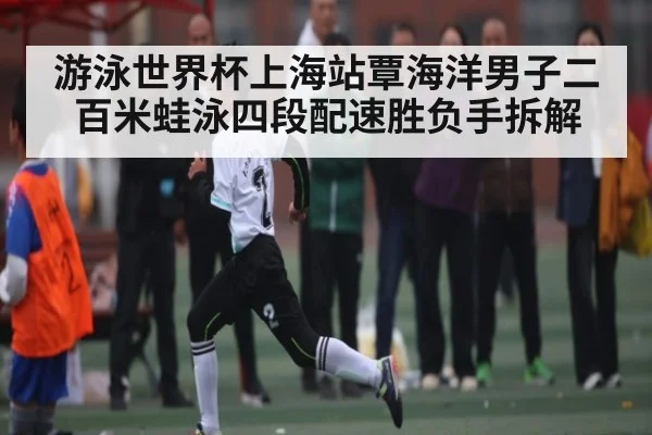 游泳世界杯上海站覃海洋男子二百米蛙泳四段配速胜负手拆解 | kaiyuncom